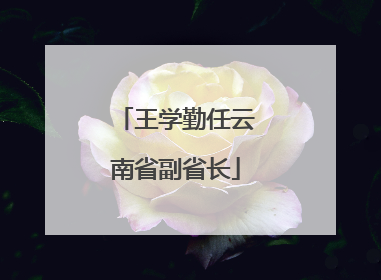 王学勤任云南省副省长