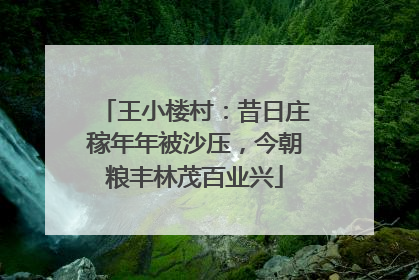 王小楼村：昔日庄稼年年被沙压，今朝粮丰林茂百业兴