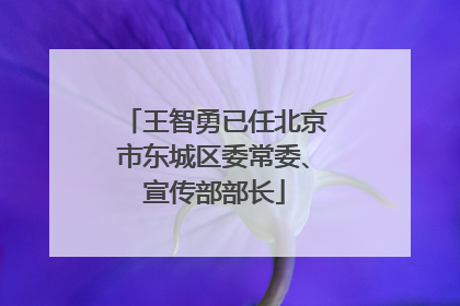 王智勇已任北京市东城区委常委、宣传部部长