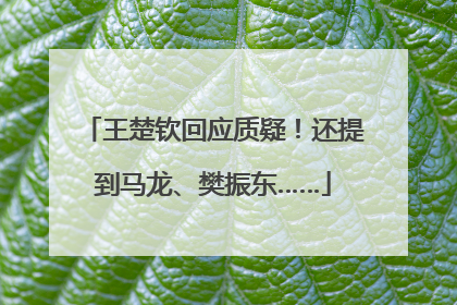 王楚钦回应质疑！还提到马龙、樊振东……