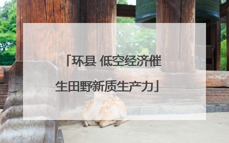 环县 低空经济催生田野新质生产力