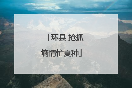 环县 抢抓墒情忙夏种