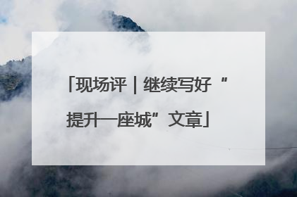 现场评｜继续写好“提升一座城”文章