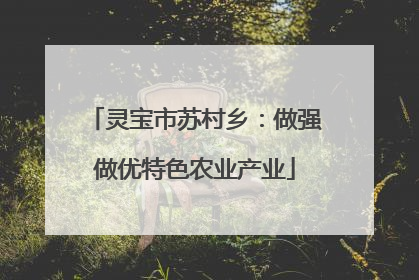 灵宝市苏村乡：做强做优特色农业产业