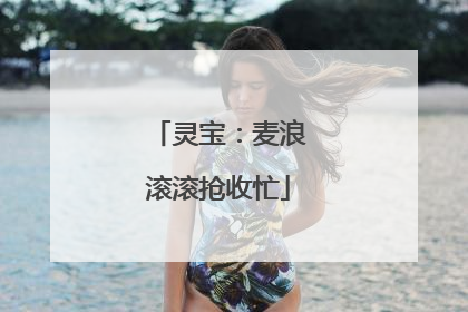 灵宝：麦浪滚滚抢收忙