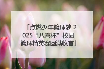 点燃少年篮球梦 2025“八喜杯”校园篮球精英赛圆满收官