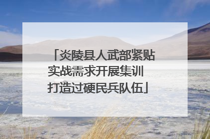 炎陵县人武部紧贴实战需求开展集训 打造过硬民兵队伍