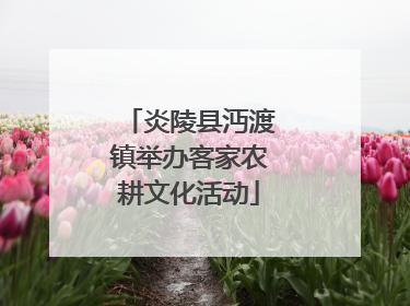 炎陵县沔渡镇举办客家农耕文化活动