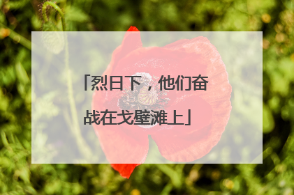 烈日下，他们奋战在戈壁滩上