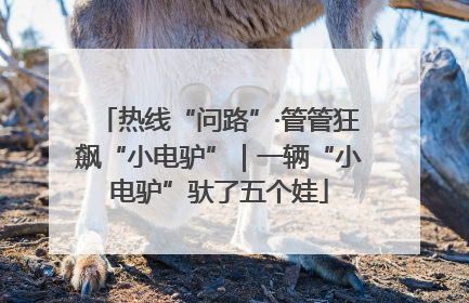 热线“问路”·管管狂飙“小电驴”｜一辆“小电驴”驮了五个娃