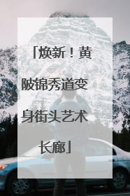 焕新！黄陂锦秀道变身街头艺术长廊