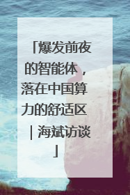 爆发前夜的智能体，落在中国算力的舒适区｜海斌访谈