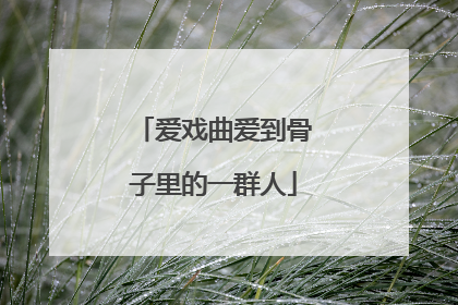 爱戏曲爱到骨子里的一群人