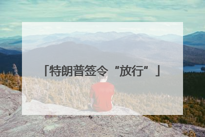 特朗普签令“放行”