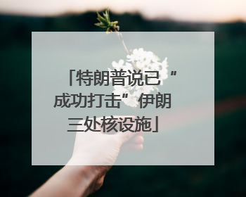 特朗普说已“成功打击”伊朗三处核设施