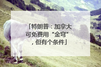 特朗普：加拿大可免费用“金穹”，但有个条件