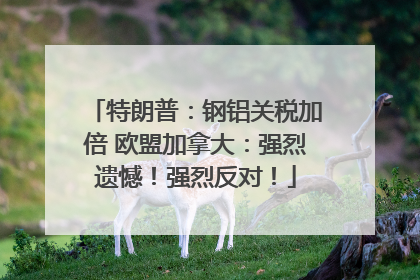 特朗普：钢铝关税加倍 欧盟加拿大：强烈遗憾！强烈反对！
