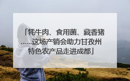 牦牛肉、食用菌、藏香猪……这场产销会助力甘孜州特色农产品走进成都