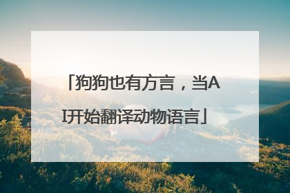 狗狗也有方言，当AI开始翻译动物语言