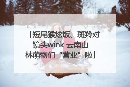 短尾猴炫饭、斑羚对镜头wink 云南山林萌物们“营业”啦