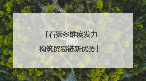 石狮多维度发力 构筑贸易链新优势