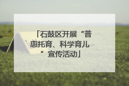 石鼓区开展“普惠托育、科学育儿”宣传活动