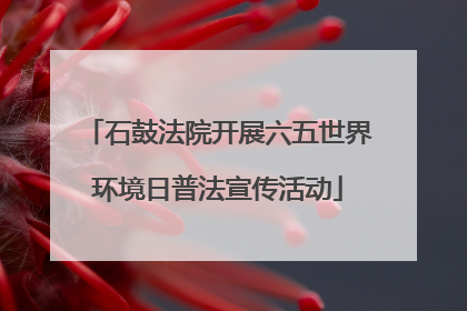 石鼓法院开展六五世界环境日普法宣传活动