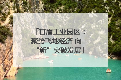 甘眉工业园区：聚势飞地经济 向“新”突破发展
