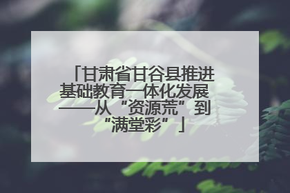 甘肃省甘谷县推进基础教育一体化发展——从“资源荒”到“满堂彩”