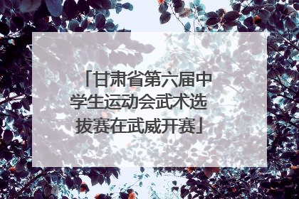 甘肃省第六届中学生运动会武术选拔赛在武威开赛