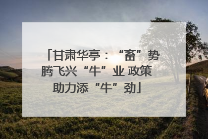 甘肃华亭：“畜”势腾飞兴“牛”业 政策助力添“牛”劲
