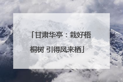 甘肃华亭：栽好梧桐树 引得凤来栖
