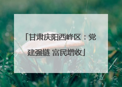 甘肃庆阳西峰区：党建强链 富民增收