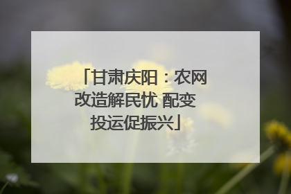 甘肃庆阳：农网改造解民忧 配变投运促振兴
