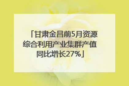 甘肃金昌前5月资源综合利用产业集群产值同比增长27%