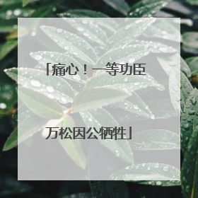痛心！一等功臣万松因公牺牲