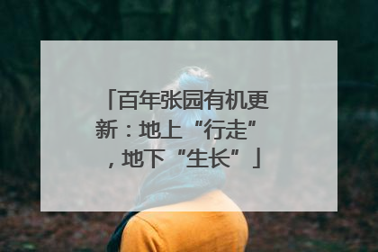 百年张园有机更新：地上“行走”，地下“生长”