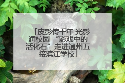 皮影传千年 光影润校园 “影戏中的活化石”走进通州五接滨江学校