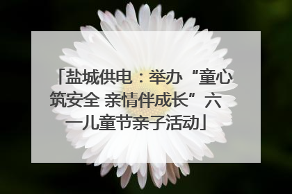盐城供电：举办“童心筑安全 亲情伴成长”六一儿童节亲子活动