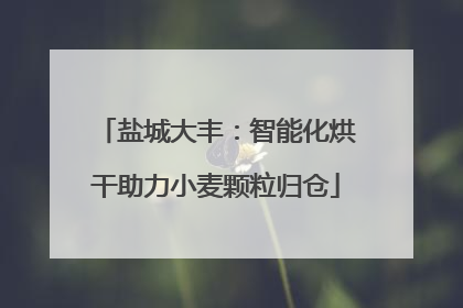 盐城大丰：智能化烘干助力小麦颗粒归仓