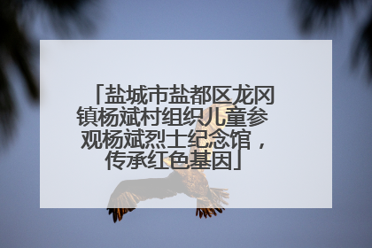 盐城市盐都区龙冈镇杨斌村组织儿童参观杨斌烈士纪念馆，传承红色基因