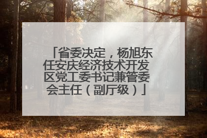 省委决定，杨旭东任安庆经济技术开发区党工委书记兼管委会主任（副厅级）