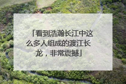 看到浩瀚长江中这么多人组成的渡江长龙，非常震撼