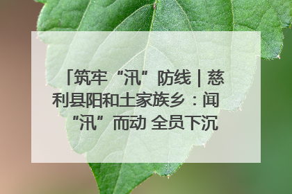 筑牢“汛”防线｜慈利县阳和土家族乡：闻“汛”而动 全员下沉筑牢防汛“安全堤”