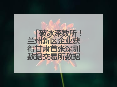 破冰深数所！兰州新区企业获得甘肃首张深圳数据交易所数据产权登记证书