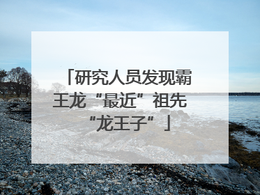 研究人员发现霸王龙“最近”祖先“龙王子”