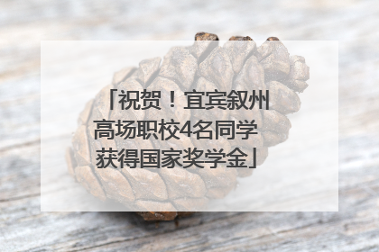 祝贺！宜宾叙州高场职校4名同学获得国家奖学金