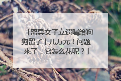 离异女子立遗嘱给狗狗留了十几万元！问题来了，它怎么花呢？