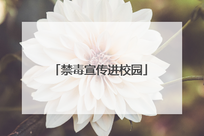 禁毒宣传进校园