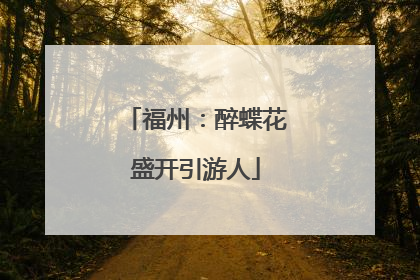 福州：醉蝶花盛开引游人